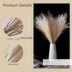 Pampas Grass Decorativa Set 6 Pezzi - Piume Fluffy Beige Naturale per Vasi e Arredamento Boho Chic