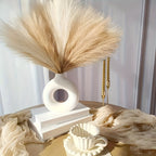 Pampas Grass Decorativa Set 6 Pezzi - Piume Fluffy Beige Naturale per Vasi e Arredamento Boho Chic