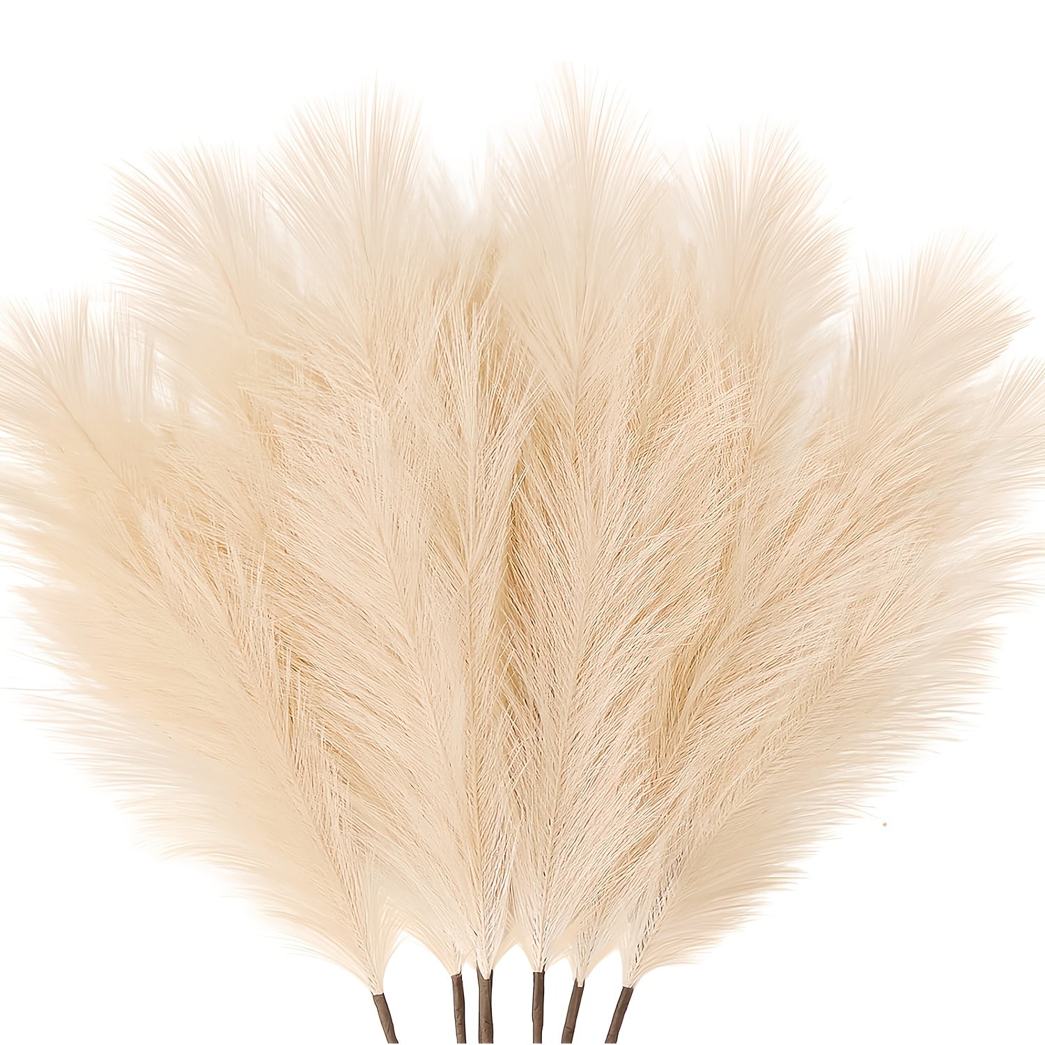 Pampas Grass Artificiale 75cm Decorazione Boho 8 Steli