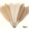 Pampas Grass Decorativa Set 6 Pezzi - Piume Fluffy Beige Naturale per Vasi e Arredamento Boho Chic